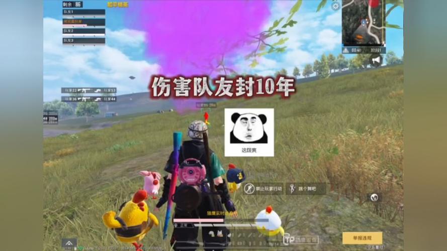 和平精英辅助软件的发展与影响分析